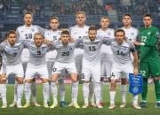 开云官网-爱尔兰球队获得了欧洲杯资格