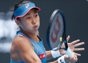 开云体育下载-紧张激战刺激神经，场面火爆非凡的简单介绍