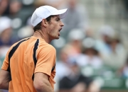 开云体育下载-包含德国网球队翻盘英国网球队，穆雷打破历史纪录的词条