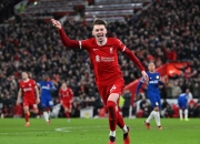 开云体育APP下载-利物浦绝杀比利时，皮克刷新纪录