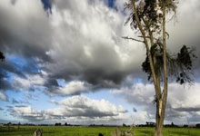 开云体育平台APP-比利时乒乓球队轻取瑞典乒乓球队，波尔统治全场——乒坛新星崛起的精彩瞬间