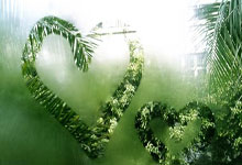 开云体育app-泰国羽毛球队逆转乾坤，安赛龙称霸全场：一场精彩绝伦的羽毛球盛宴