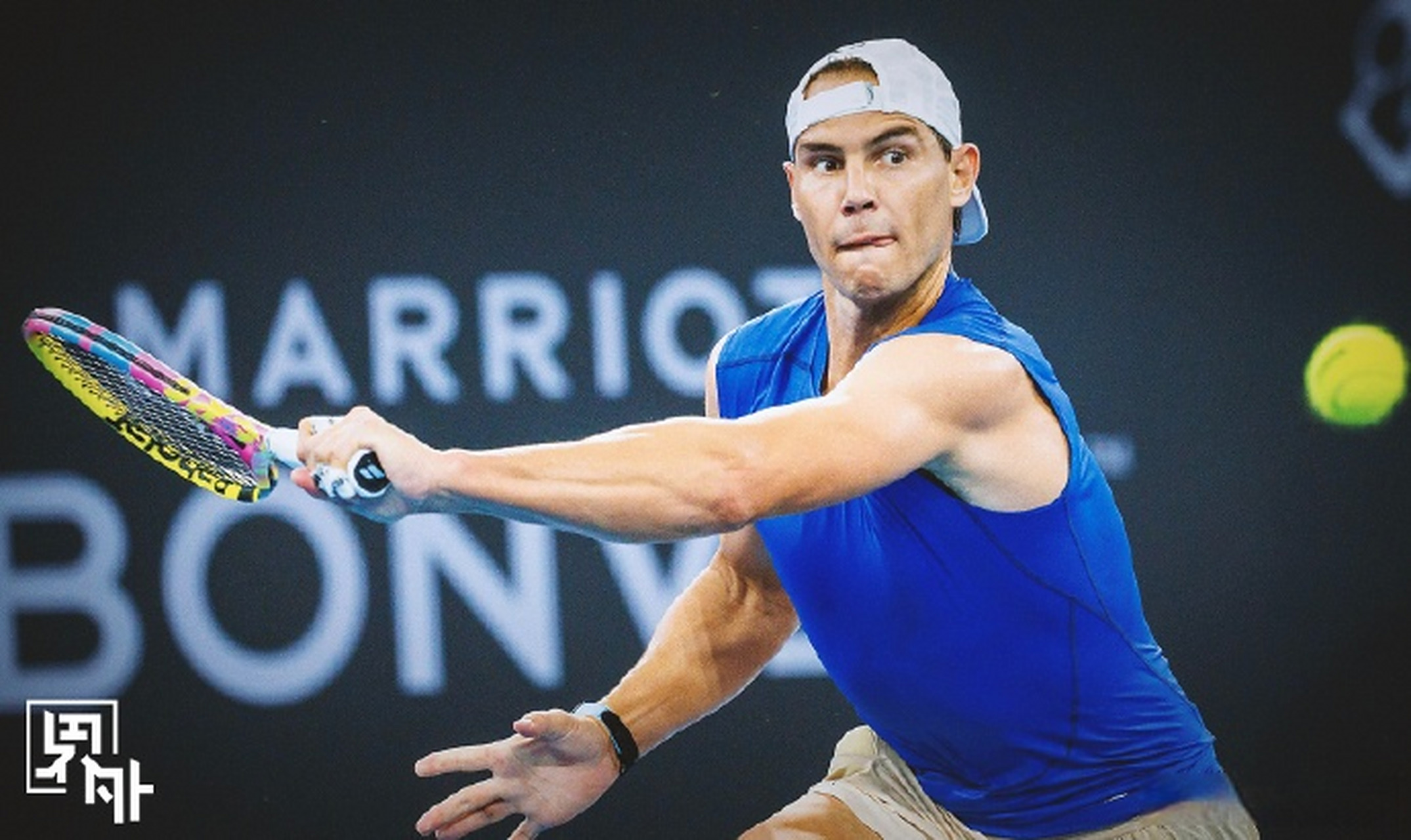 高尔夫赛场上纳达尔再创辉煌的简单介绍