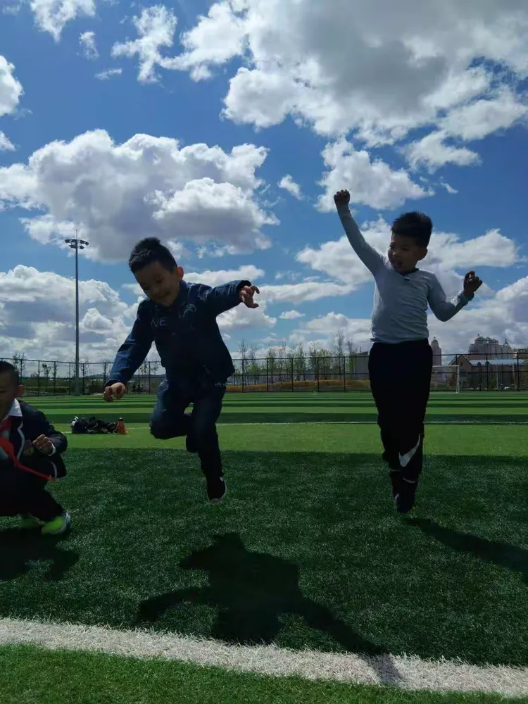 包含球场之上荣耀尽显，努力付出成果显著的词条