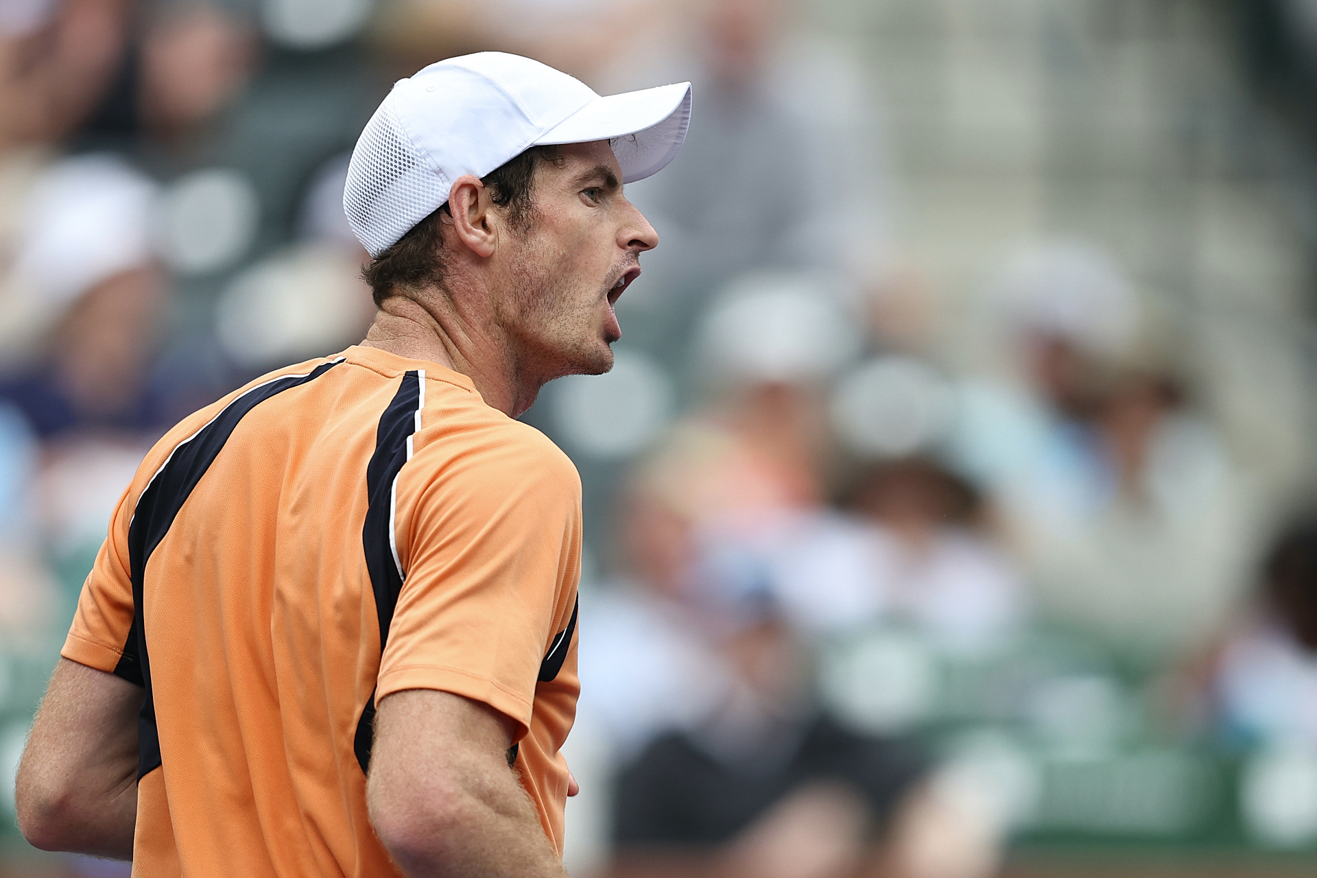 包含德国网球队翻盘英国网球队,穆雷打破历史纪录的词条 包含德国网球队翻盘英国网球队,穆雷打破历史纪录的词条