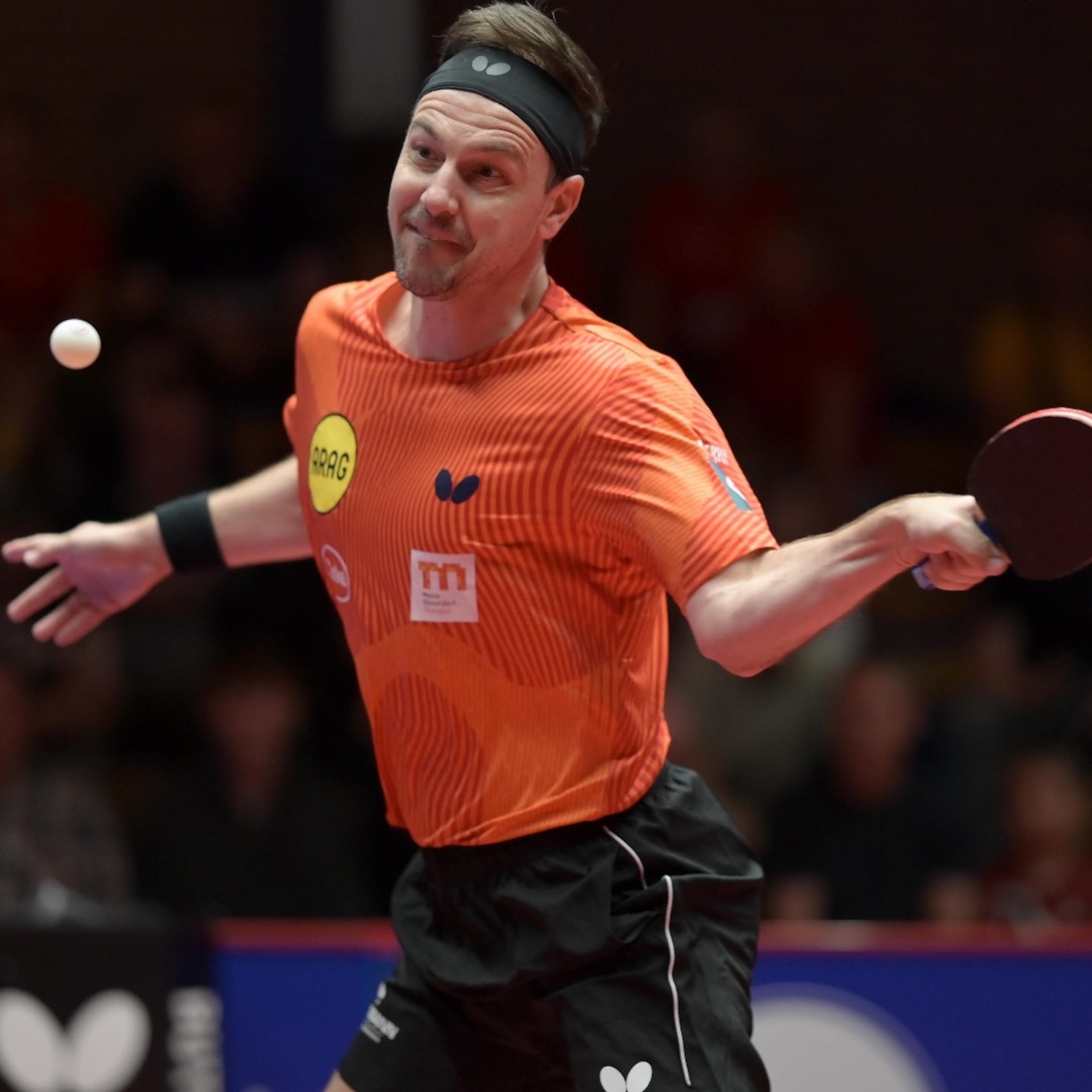 包含奥地利乒乓球队轻取波兰乒乓球队，波尔惊艳世界的词条