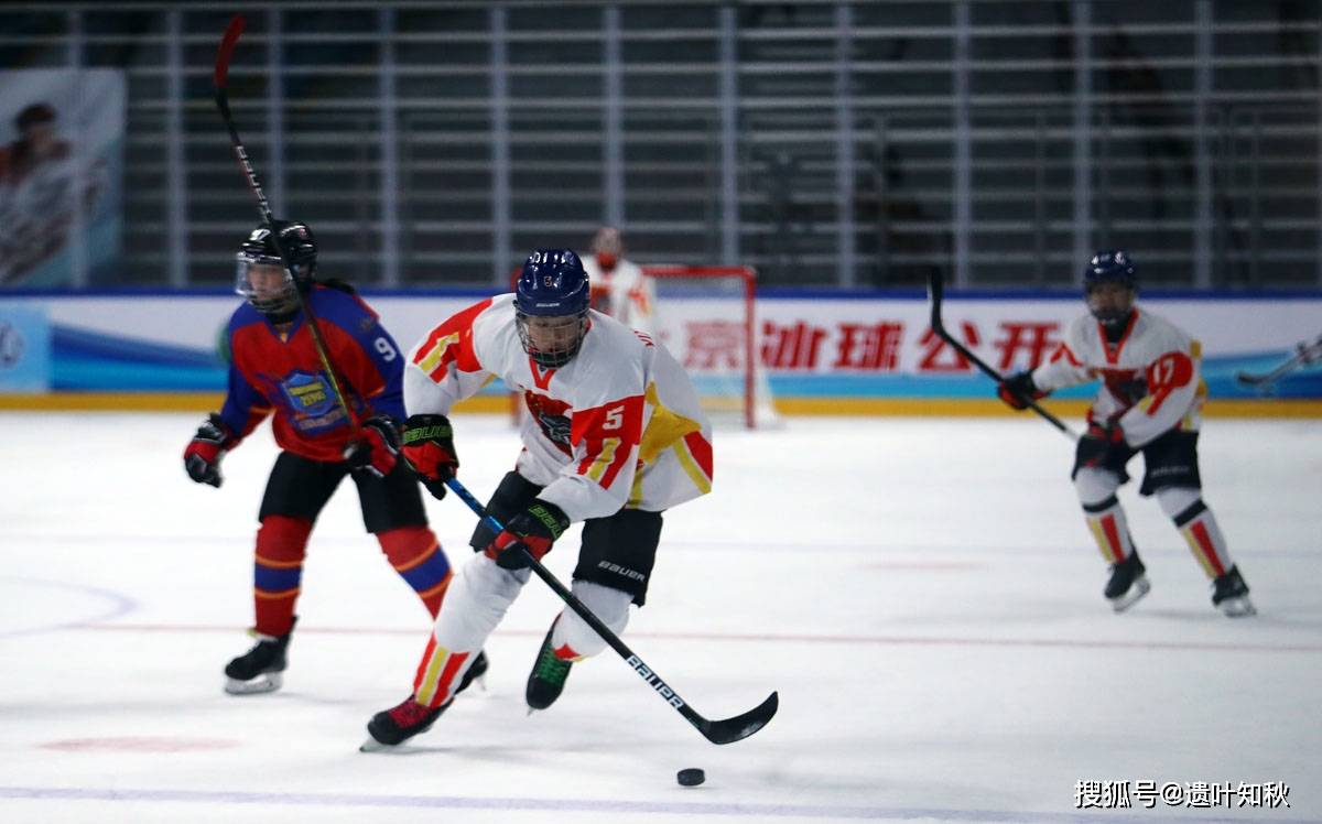 冰球赛季收官,冠军榜单揭晓 冰球赛季收官,冠军榜单揭晓