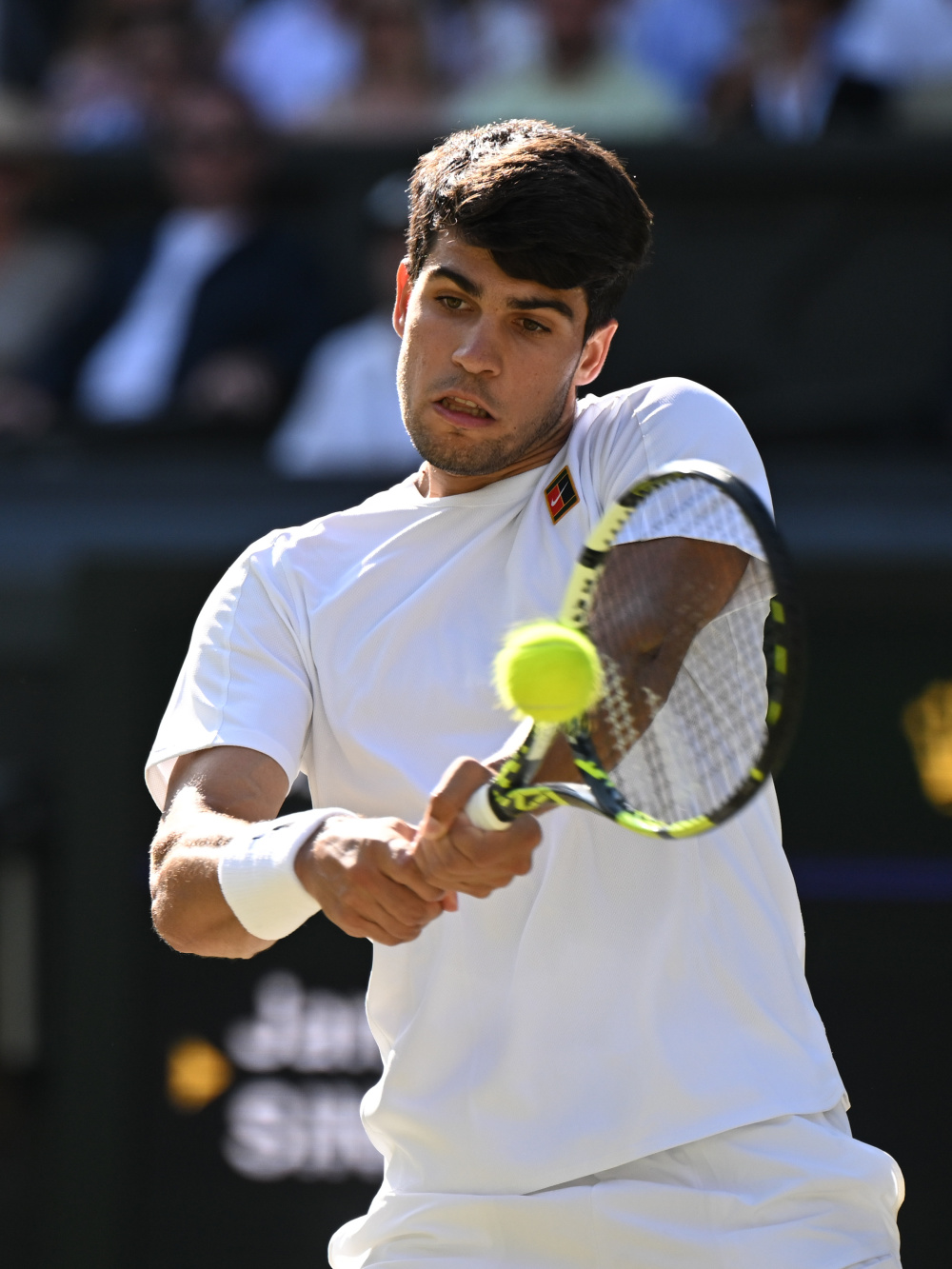 温网碾压年终总决赛,辛纳刷新纪录 温网碾压年终总决赛,辛纳刷新纪录